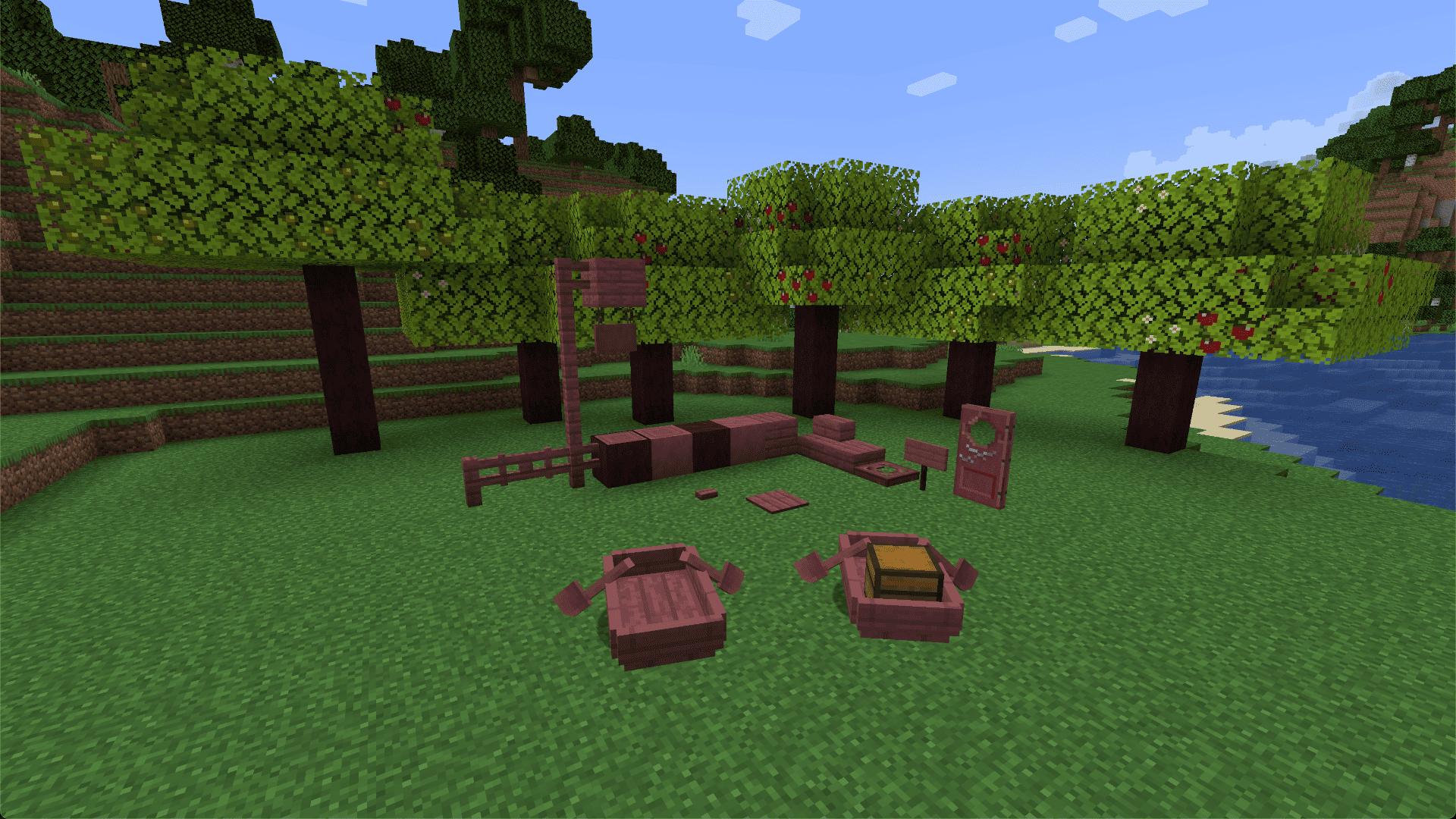 Apple Saplings
