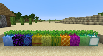 Beetiful Garden