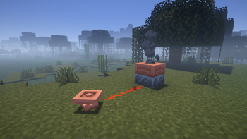 Beneath the Wetlands