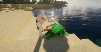 Better turtle scute