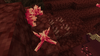 Biomes O' Remin