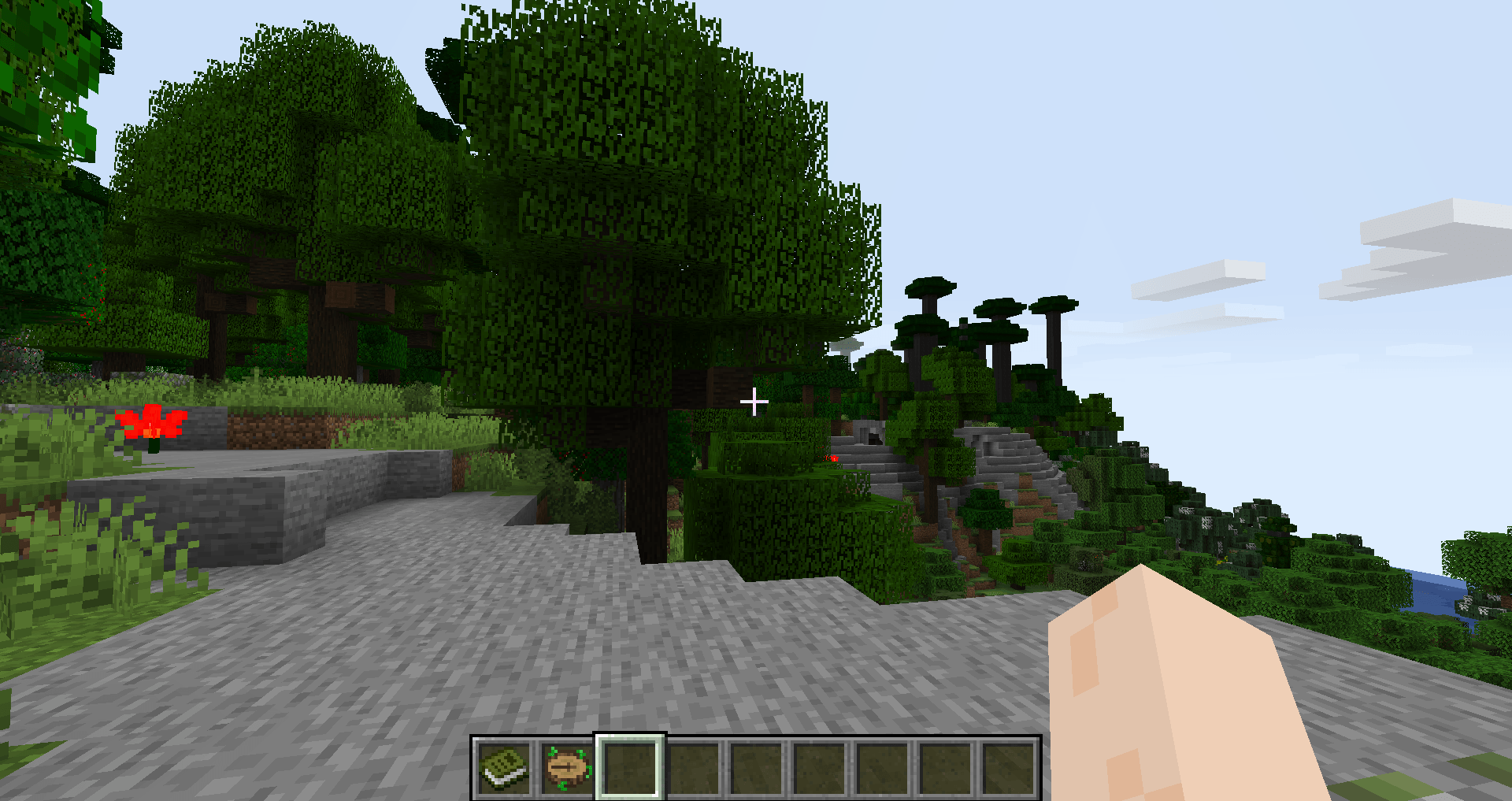 Brazilian Biomes