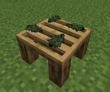 Bushcraft