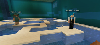 CobbleBuilds: Leaders [Cobblemon Addon]