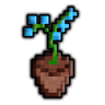 CraftFlowers