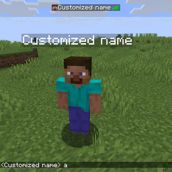 Custom Displayname