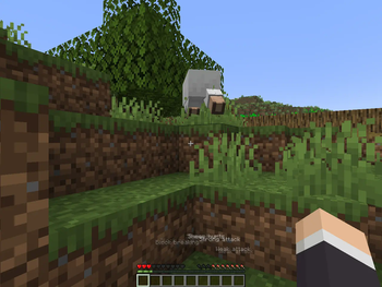 Directional Subtitles