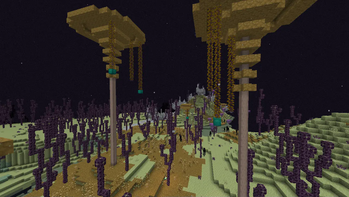 Polymer Patch for Enderscape