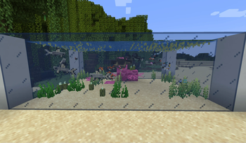 Fintastic