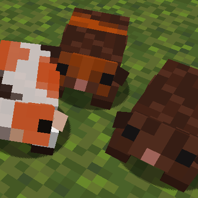 GuineaPigs