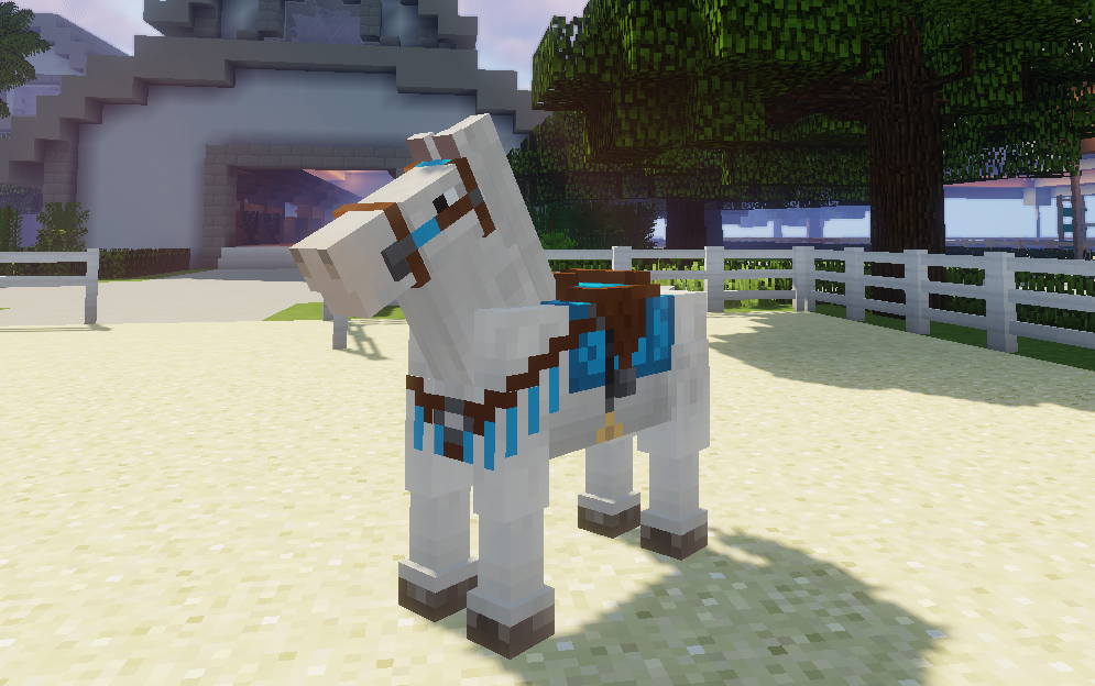 Horse Tack