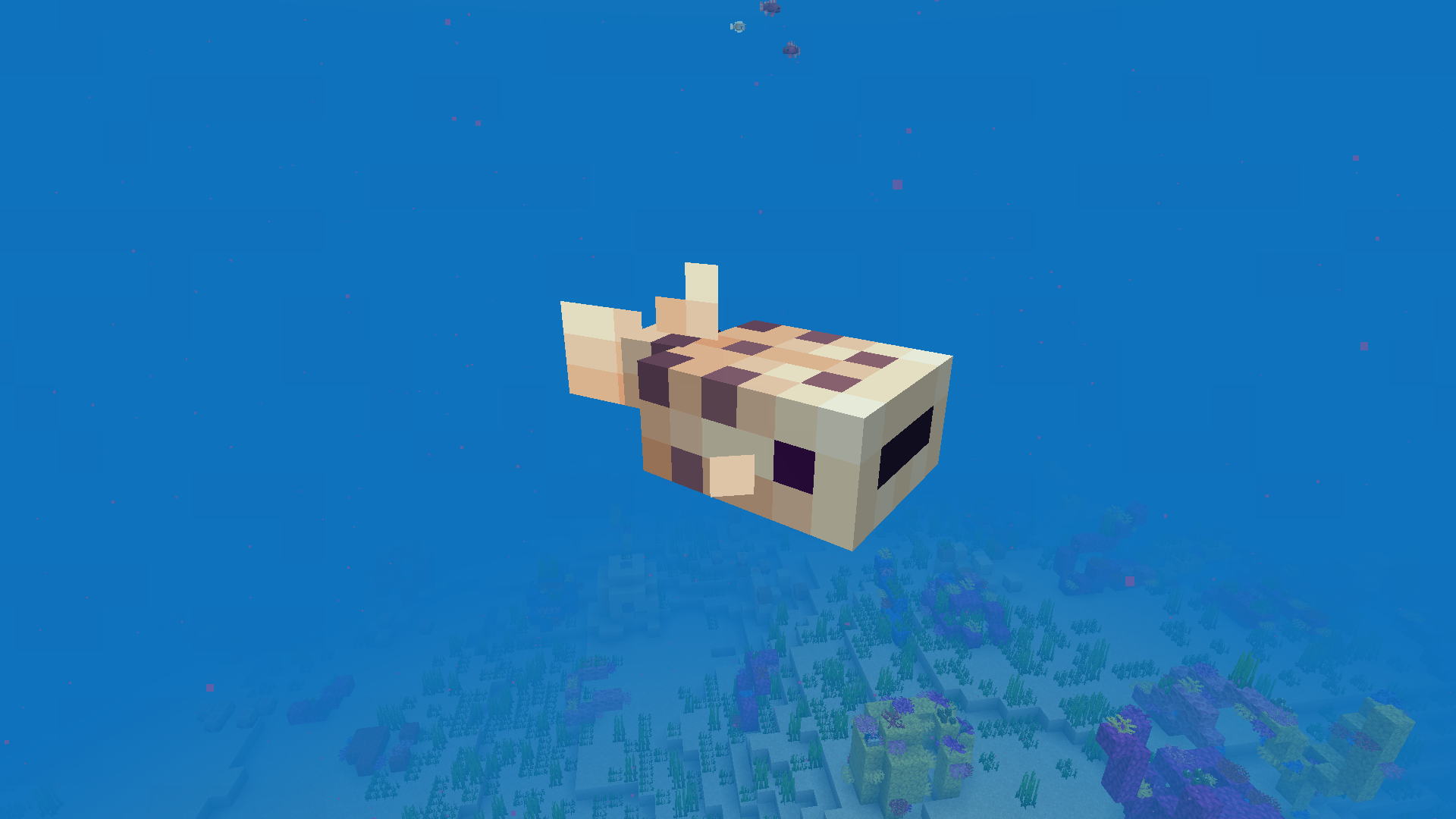 Hybrid Aquatic