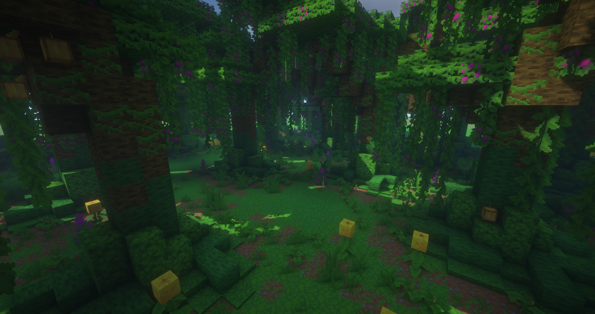 Imagine Jungles