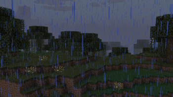 Immersive Storms