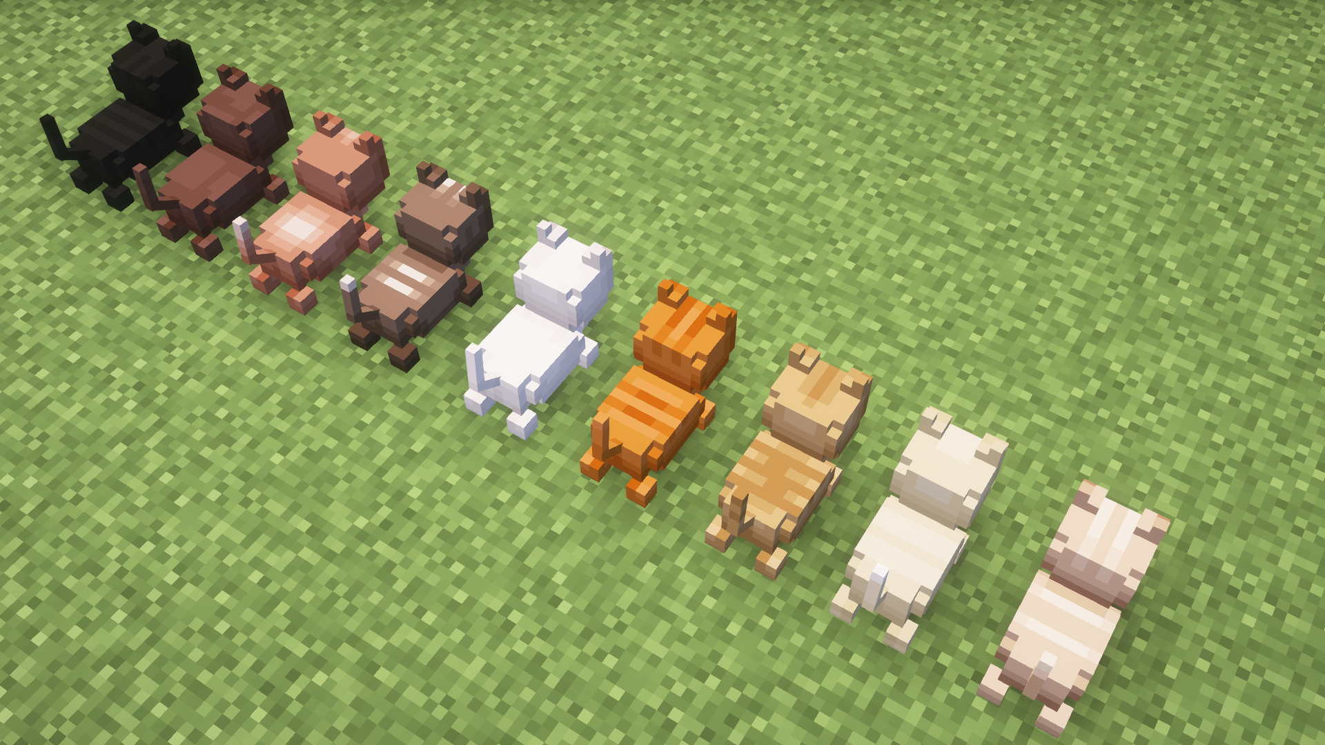 Loaf Cats