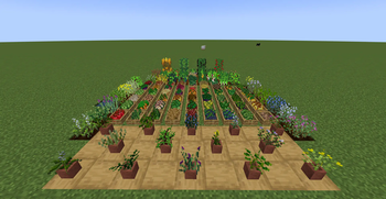 Mama's Herbs and Harvest