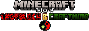 Miraculous: Tales of Ladyblock and Craft Noir