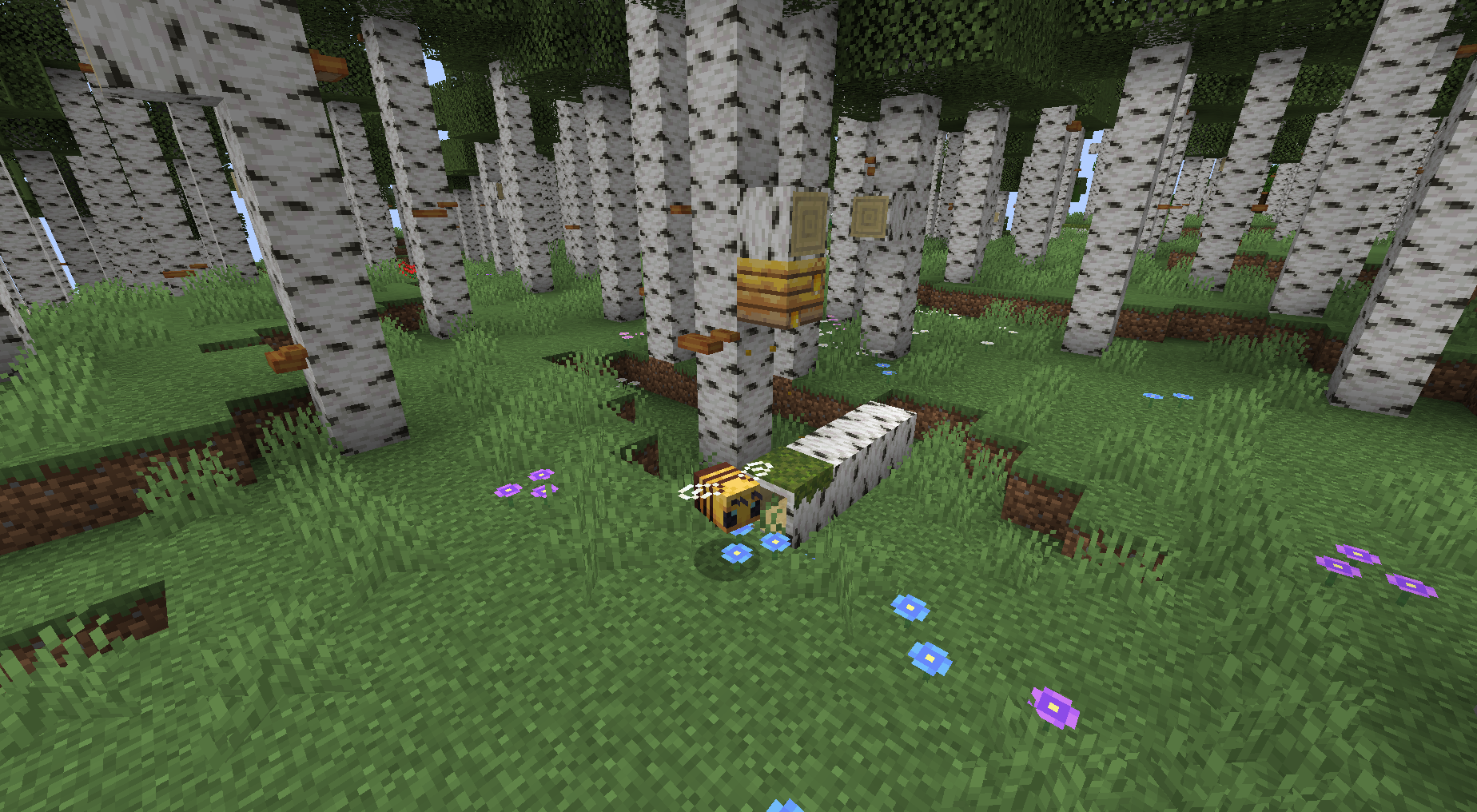 Missing Wilds (Forge)