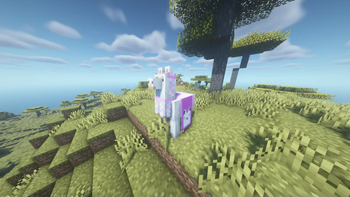 More Banner Features