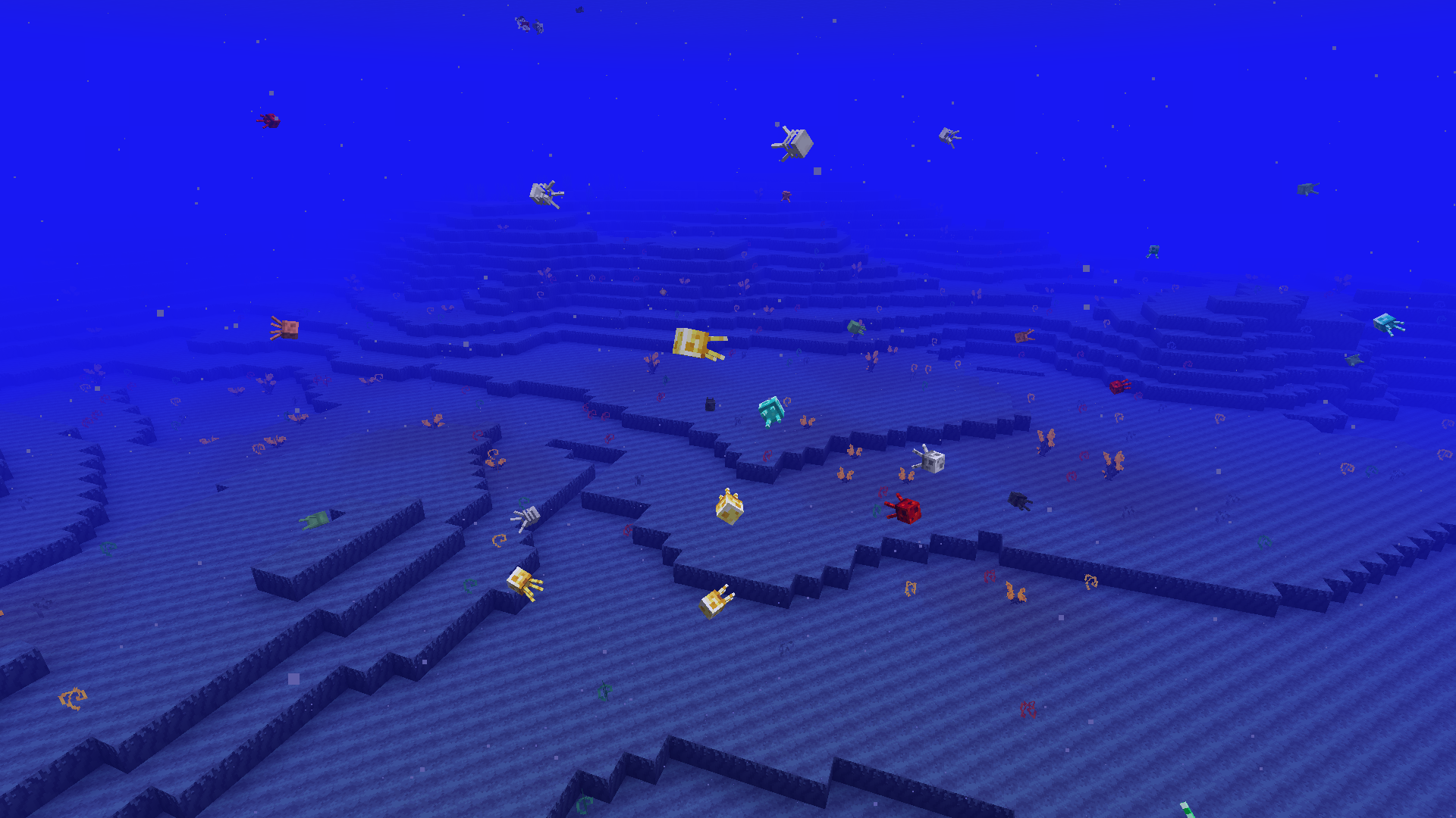 More Jellyfish