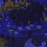Mushrooms and Caverns