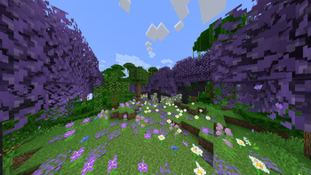 Naturality