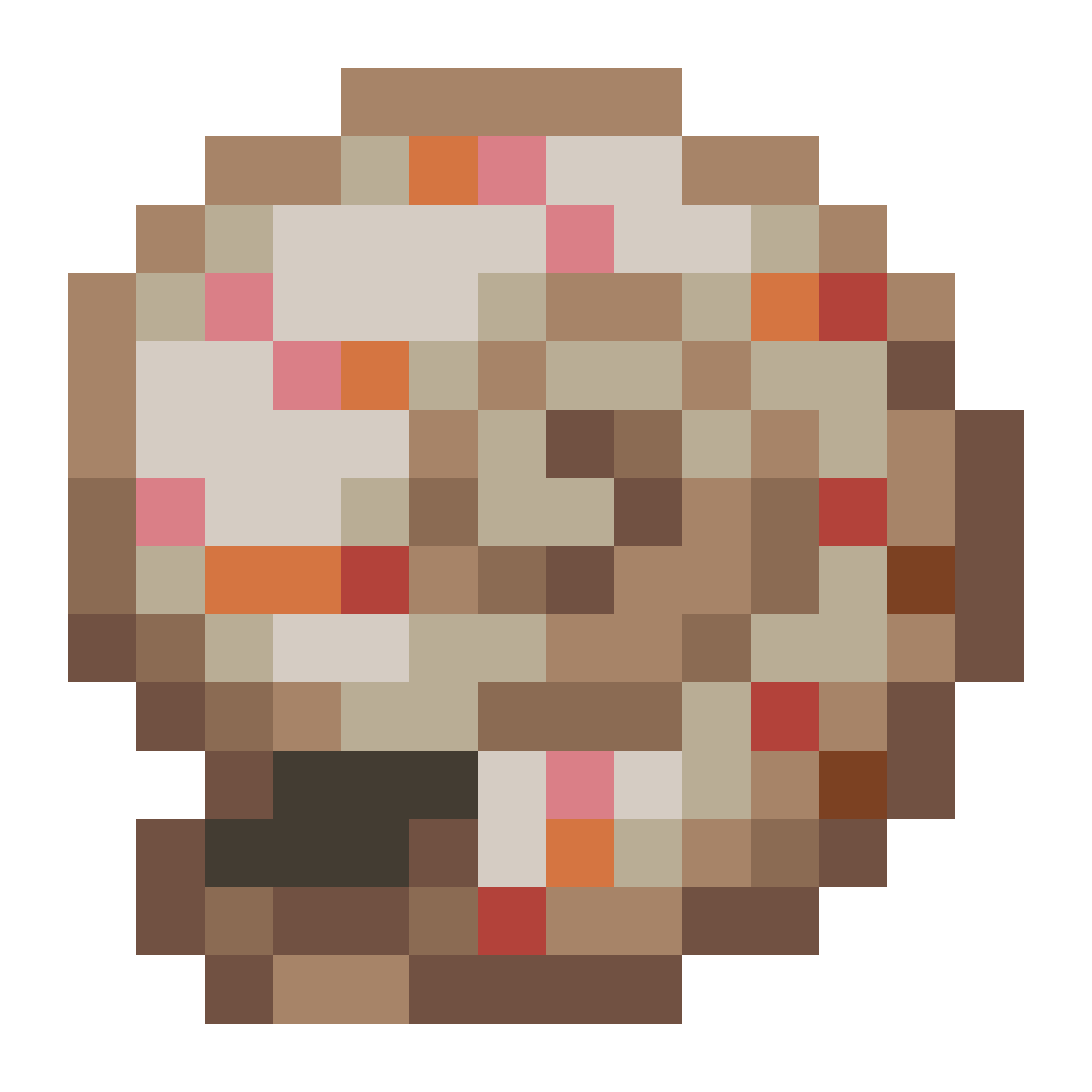 Nautilus