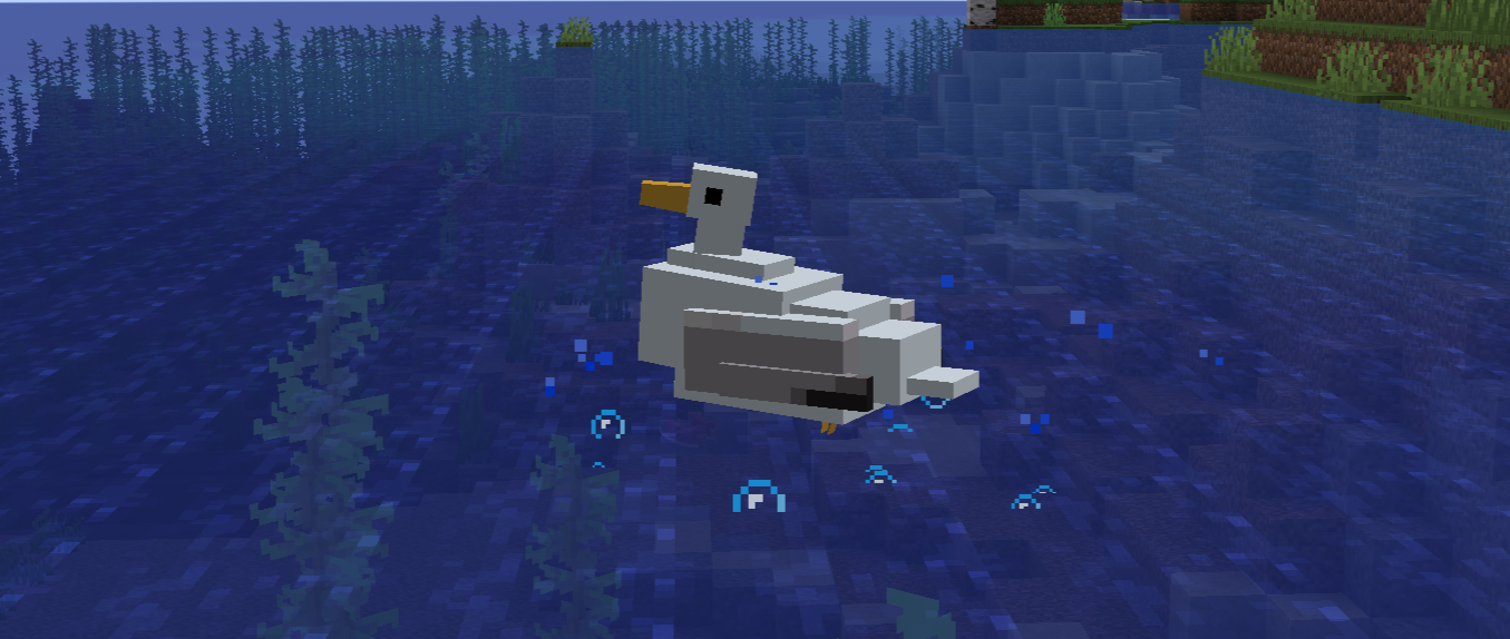 Pesky Seagulls