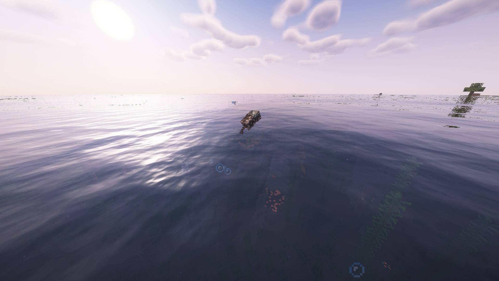 Piranha Attack