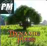 PMTrees