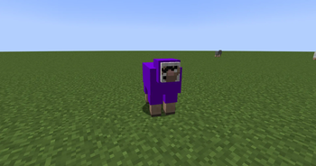 purple shep