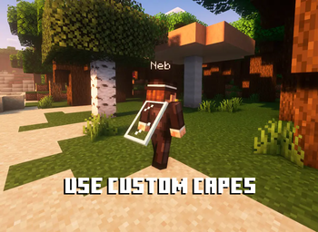 Quick Skin