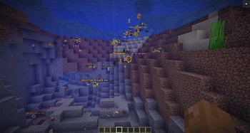 Rare Fish Finder