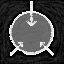 SCP: Anomalies