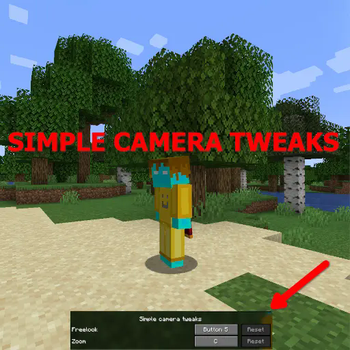 simple camera tweaks