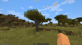 Simple input Viewer