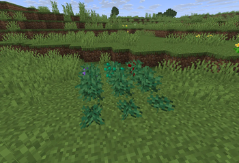 Skyrim Harvest and Hearth