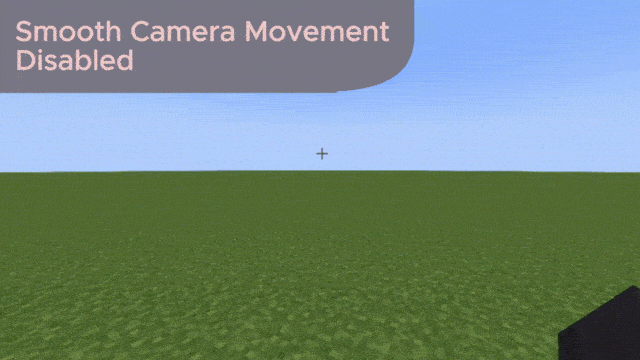 Smooth Camera Movement