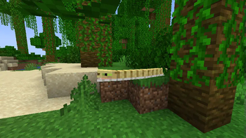 Toms Mobs