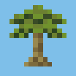 Tropics