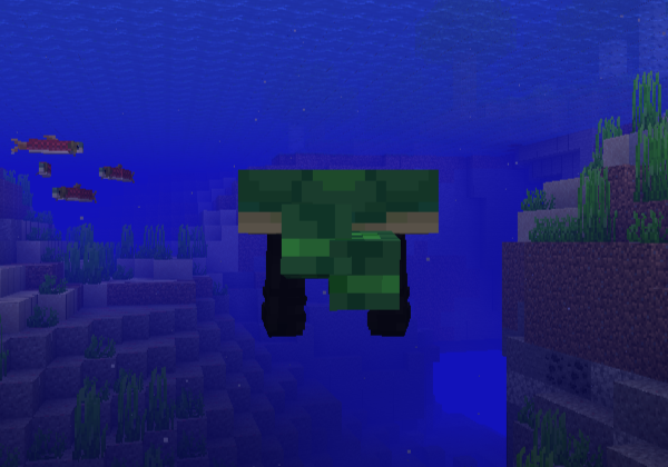 Turtle Body