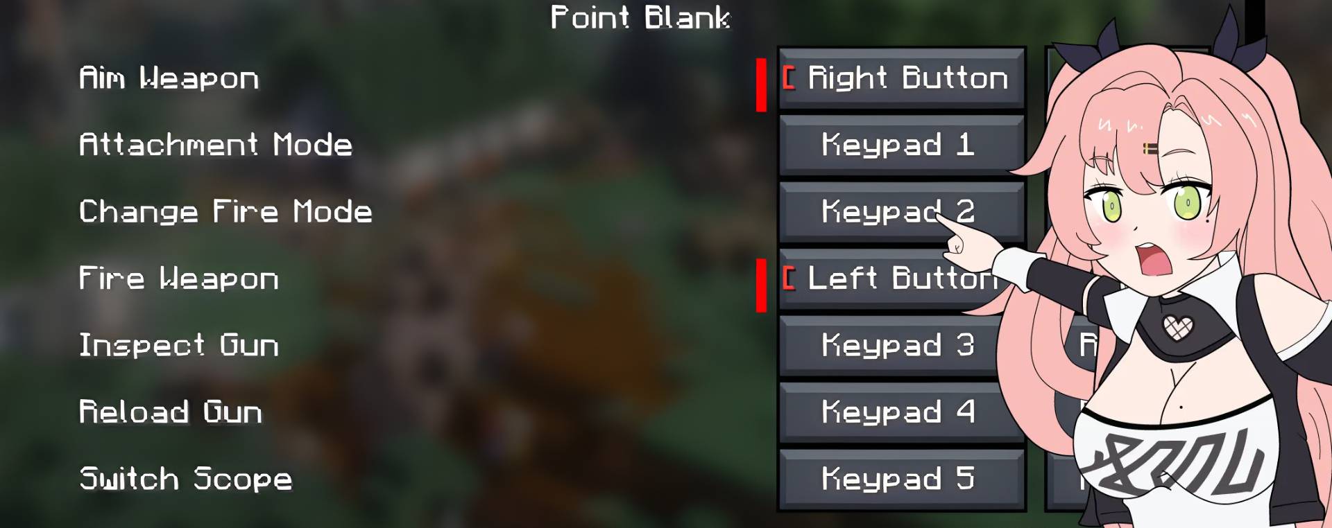 Vic's Point Blank - Keybind Controls & Inversed control