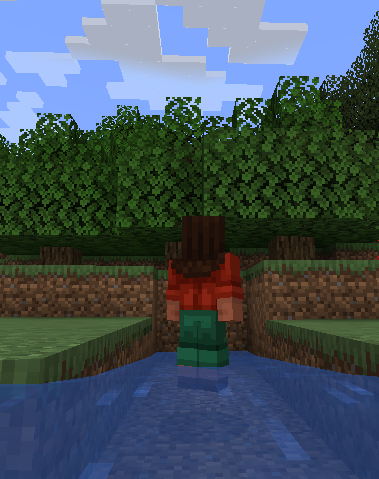 Water Walking Fix
