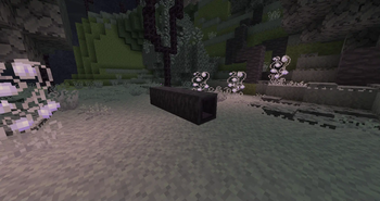 Wilder Enderscapes