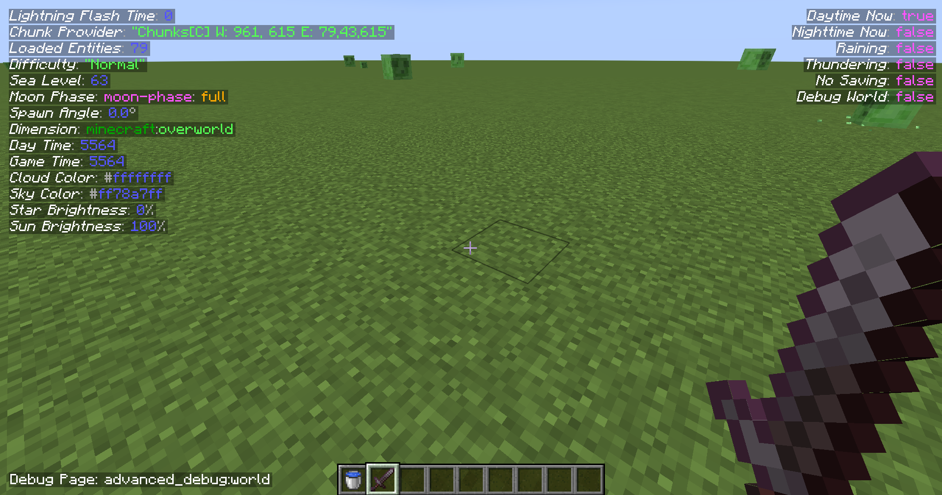 Advanced Debug
