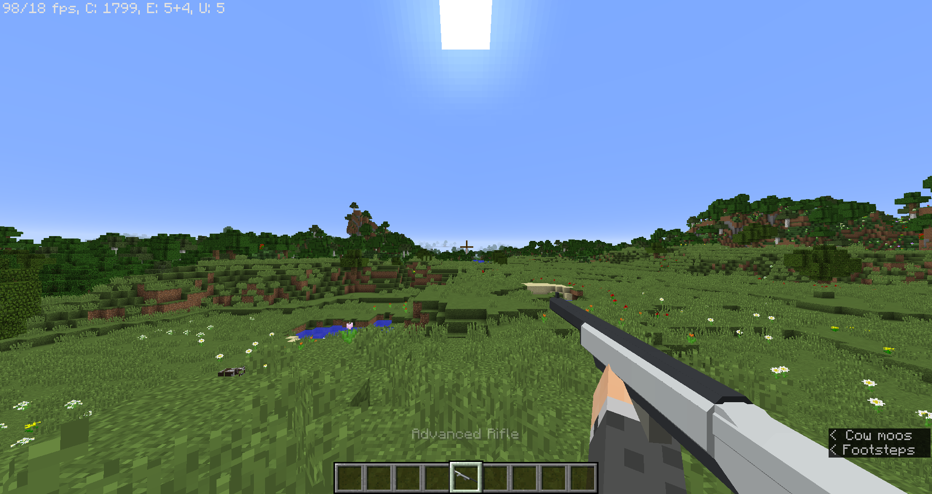 Advanced Rifles