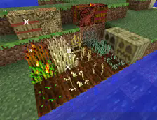 akkamaddi's Ashenwheat