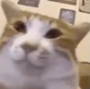 AmbleKit