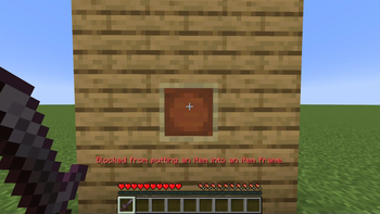 Anti Item Frame