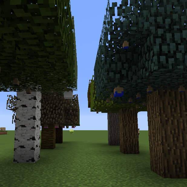 Apricorn Tree Farm